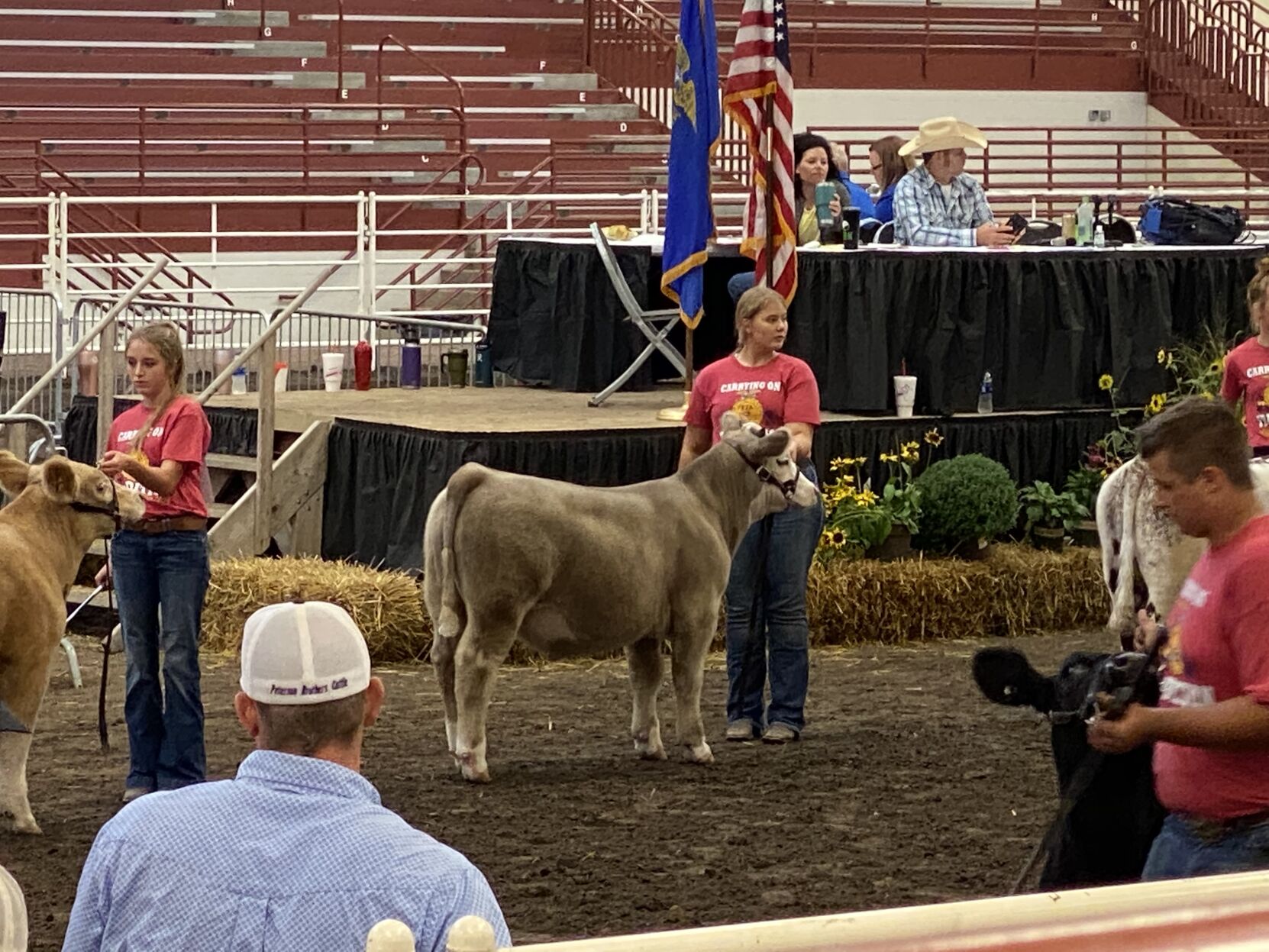 Maddy - Feeder Steer.jpg